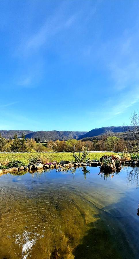 Bergblick Apartment Thale Bagian luar foto